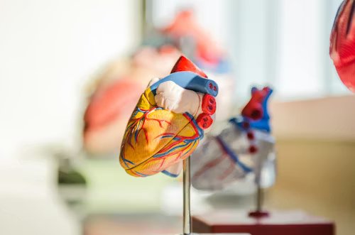 Cardiology Department